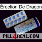 Érection De Dragon 39